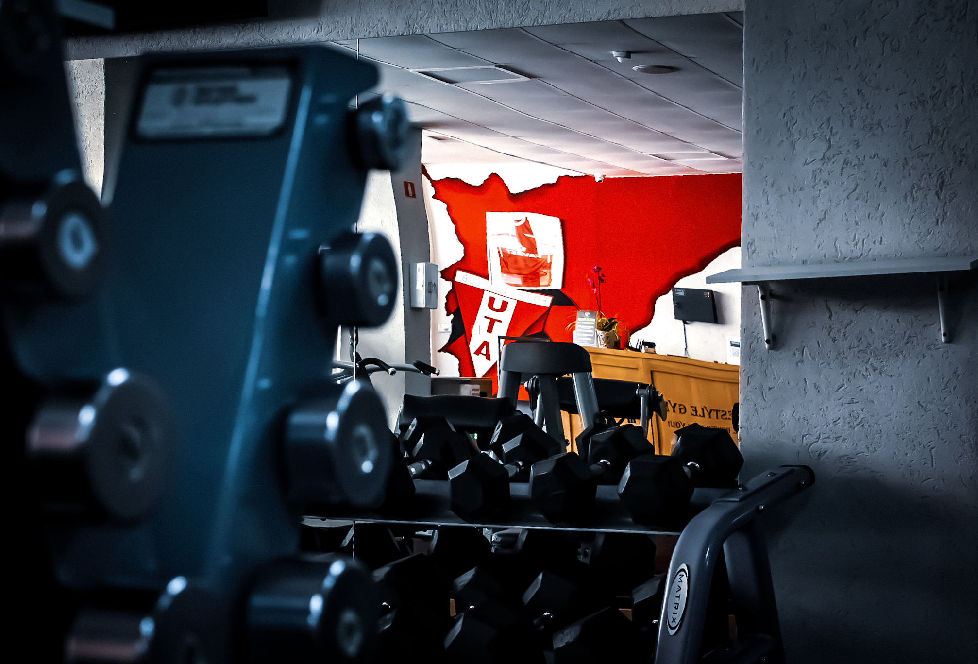 LifeStyle Gym Interior 5